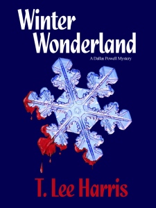 Cover image for Winter Wonderland Novella